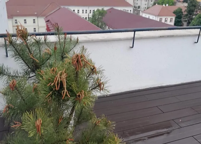 Cristinco Panoramic *